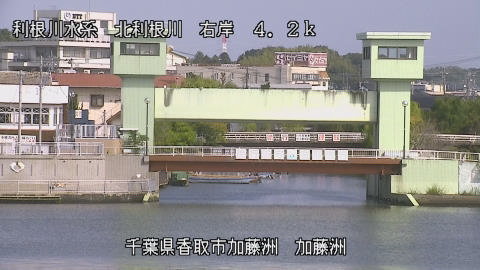 maesui2025101811_image