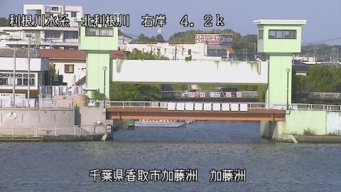maesui2025101815_image