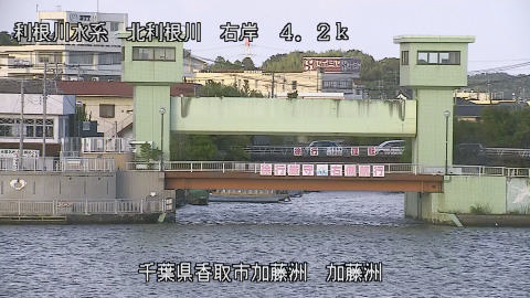 maesui2025101816_image