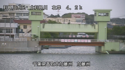 maesui2025101817_image