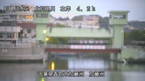 maesui2025101906_image