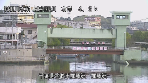 maesui2025101907_image