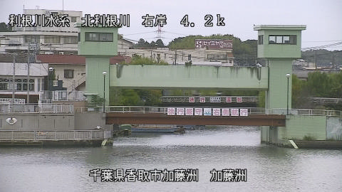 maesui2025101908_image