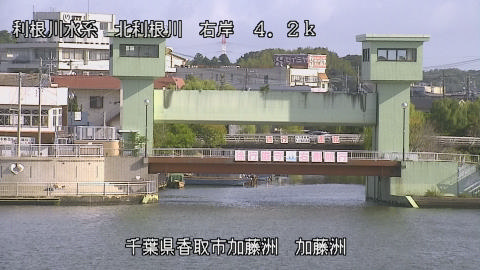 maesui2025101909_image