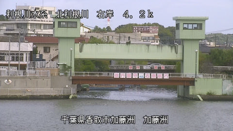 maesui2025101910_image