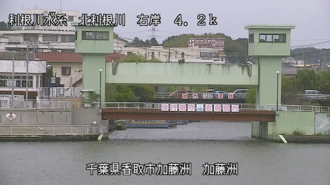 maesui2025101912_image