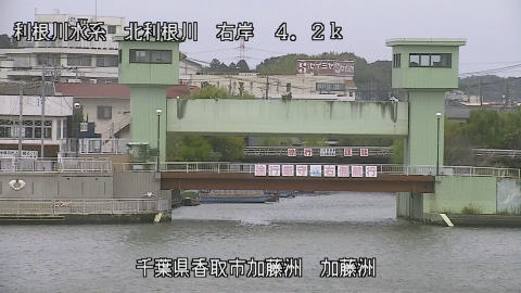 maesui2025101913_image
