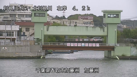 maesui2025101915_image