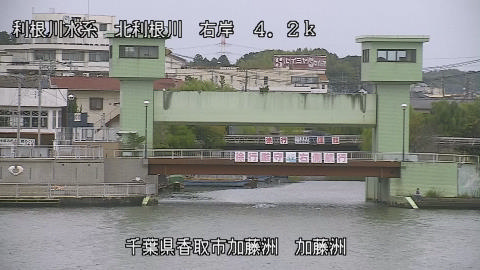 maesui2025101916_image