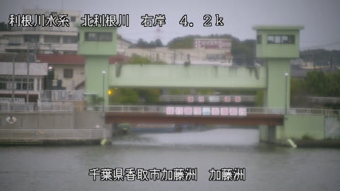 maesui2025101917_image