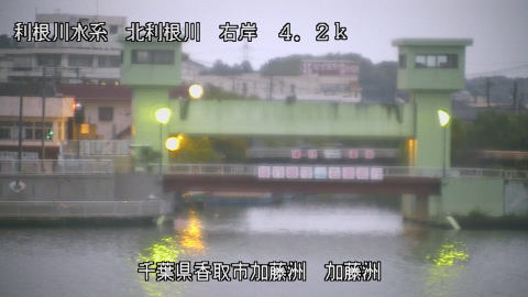maesui2025102006_image