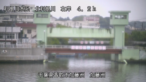 maesui2025102007_image