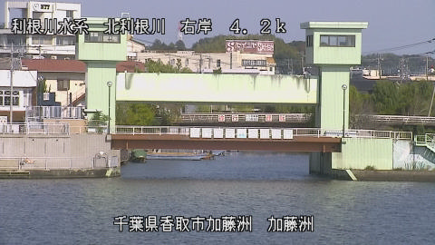 maesui2025110712_image