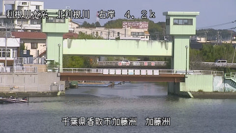 maesui2025110812_image