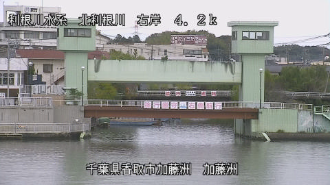 maesui2025111112_image