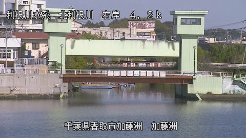 maesui2025111212_image