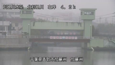 maesui2025111312_image