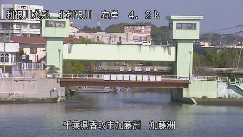 maesui2025111412_image