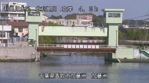 maesui2025111612_image