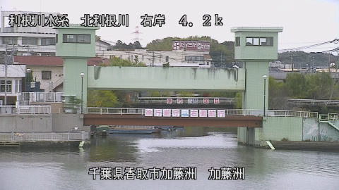 maesui2025111812_image