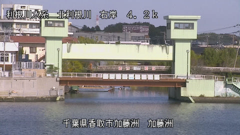 maesui2025111912_image