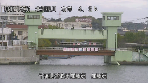 maesui2025112012_image