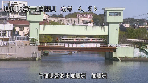 maesui2025112212_image