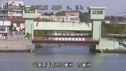 maesui2025112412_image