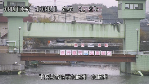 maesui2026010712_image