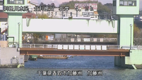 maesui2026010812_image