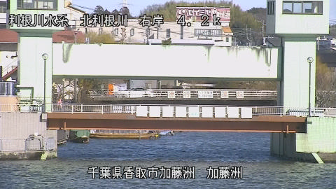 maesui2026011212_image