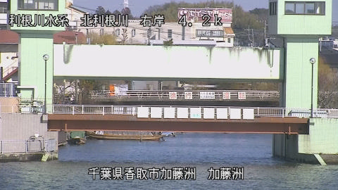 maesui2026011612_image