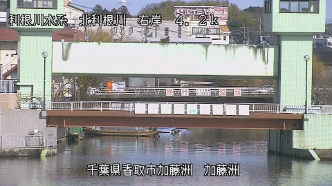 maesui2026011812_image