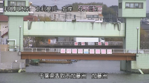 maesui2026011912_image