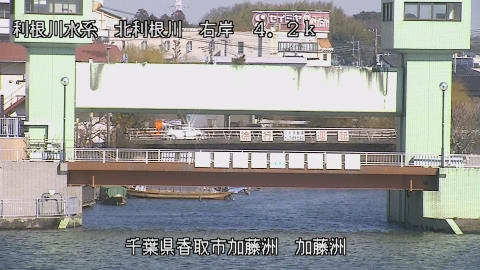 maesui2026012412_image