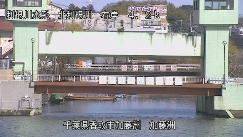 maesui2026012812_image