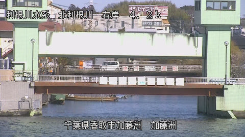 maesui2026012912_image