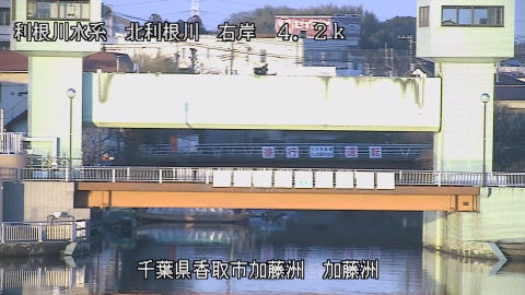 maesui2026020117_image