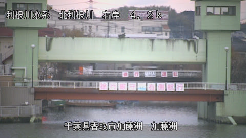 maesui2026020207_image