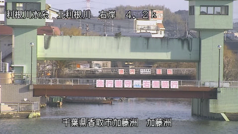 maesui2026020209_image