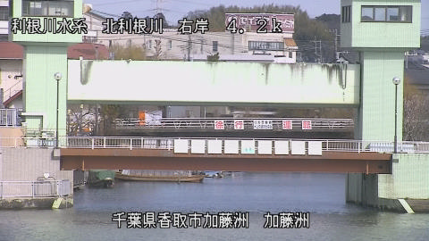 maesui2026020212_image