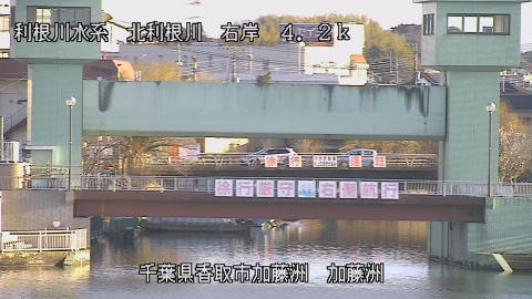 maesui2026020308_image