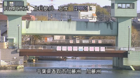 maesui2026020309_image