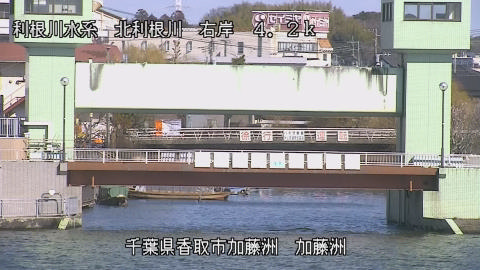 maesui2026020312_image