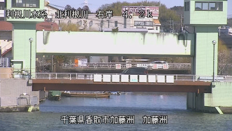 maesui2026021912_image