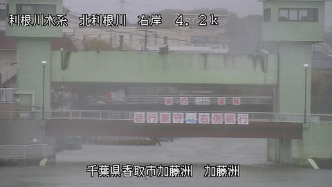 maesui2026022512_image