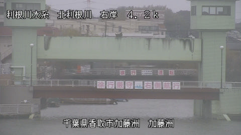 maesui2026022612_image