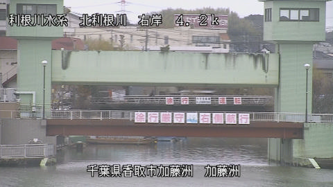 maesui2026022712_image