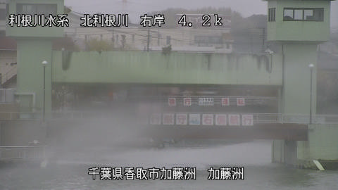 maesui2026030312_image