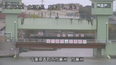 maesui2026030412_image